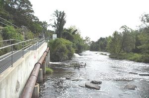gal/Agawam Canal and the Southworth Company/tn_DCP_3221.jpg